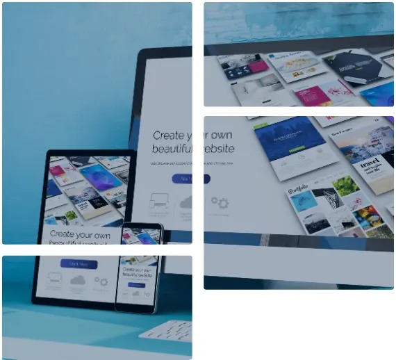 Web designing course in Laxmi Nagar, Delhi